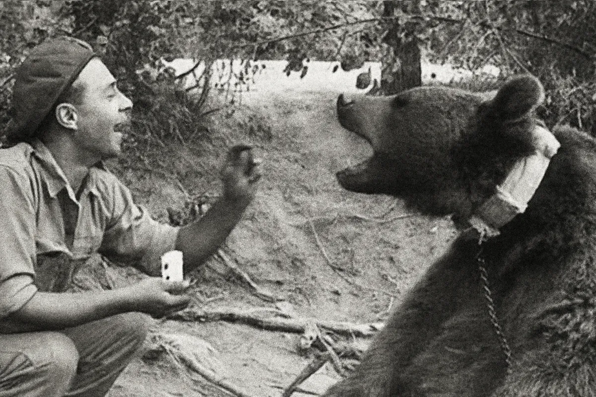 Jednostka wojskowa Niedźwiedź