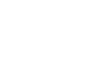 T-Master